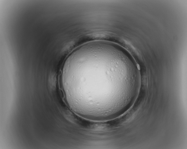 X0000115620495200911171319