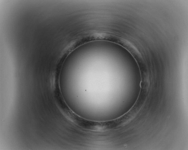 X0000115620496200911171319