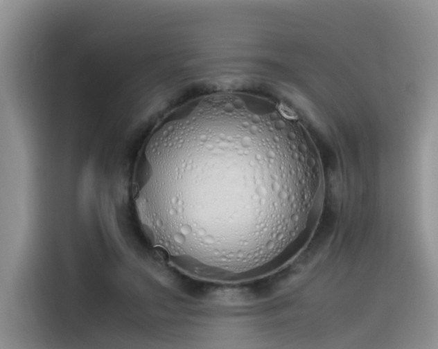 X0000115620499200911171319