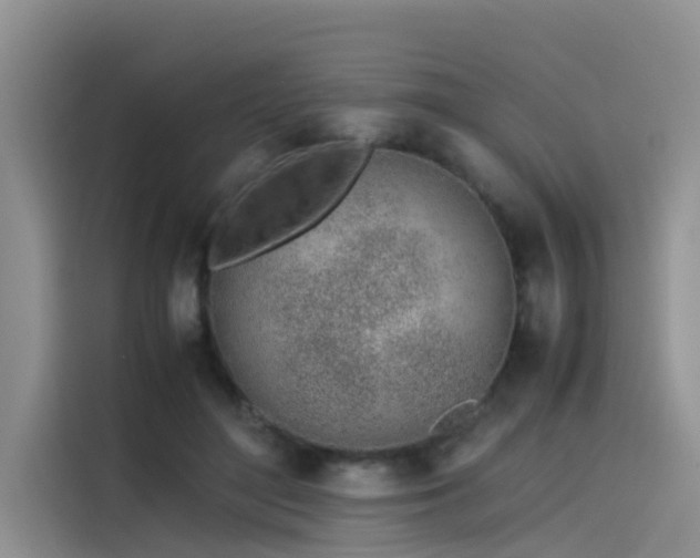 X0000115620500200911171318