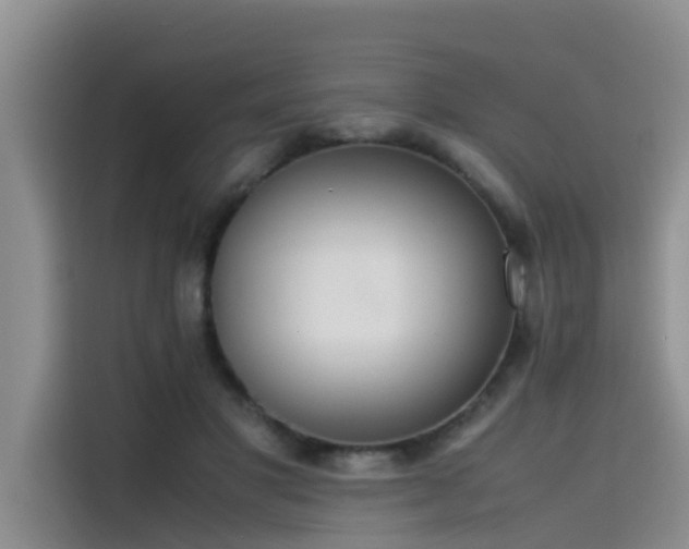 X0000115620501200911171318