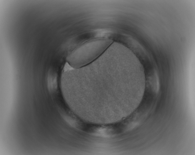 X0000115620504200911171318