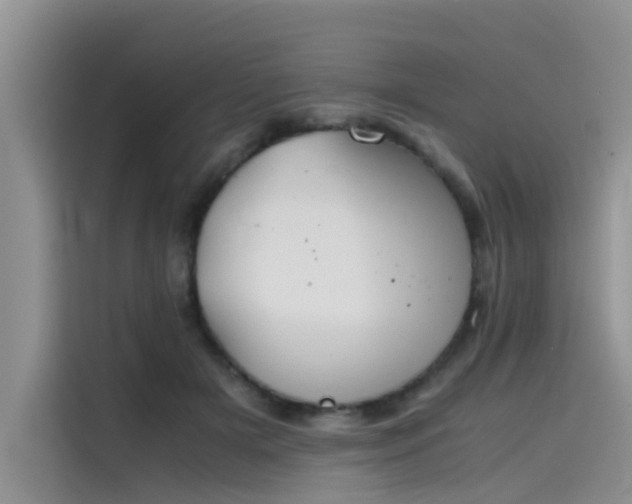 X0000115620505200911171318