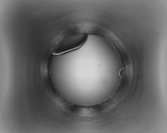 X0000115620508200911171318