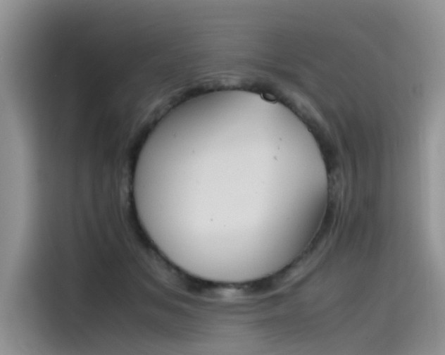 X0000115620509200911171318