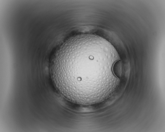 X0000115620510200911171318