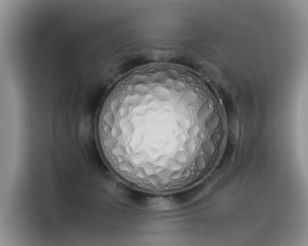 X0000115620511200911171318