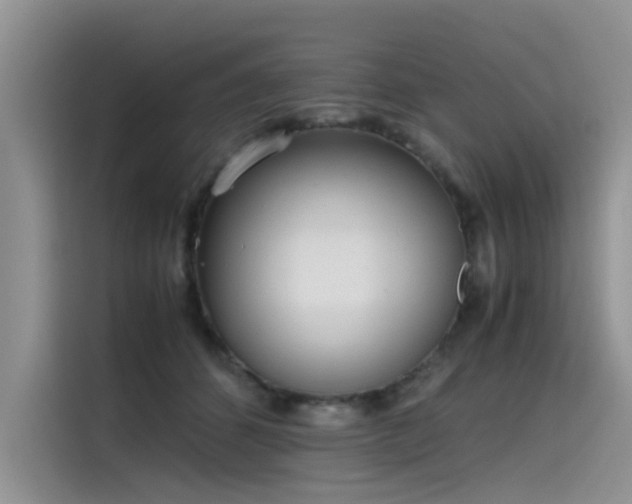 X0000115620512200911171318