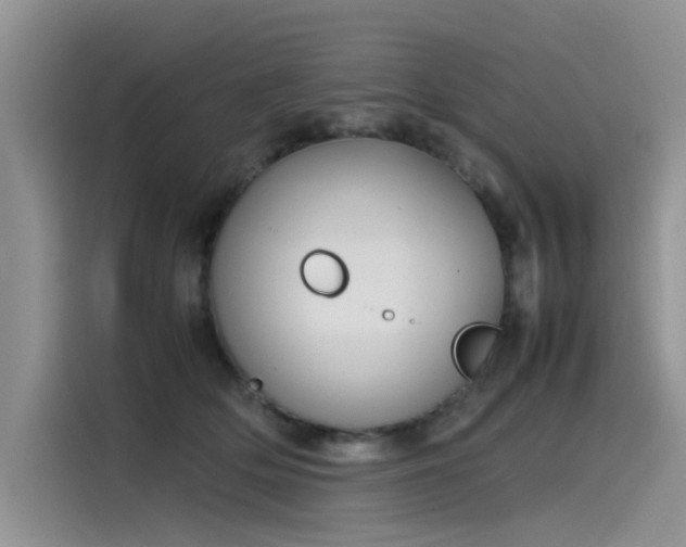 X0000115620514200911171318