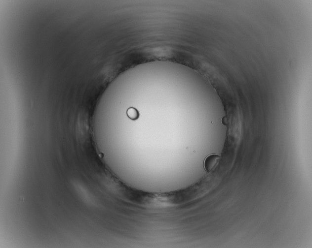 X0000115620518200911171318