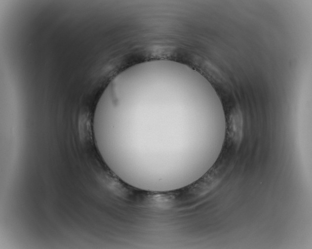 X0000115620522200911171318