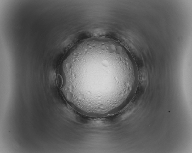 X0000115620523200911171318