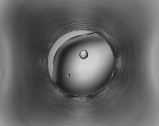 X0000115620524200911171318