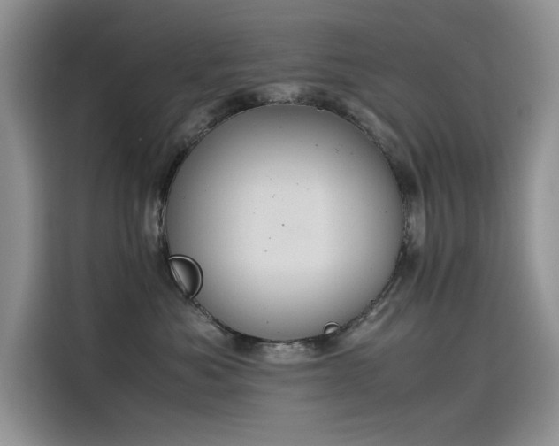 X0000115620525200911171318