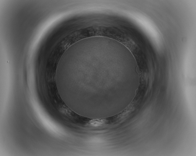 X0000115620526200911171318