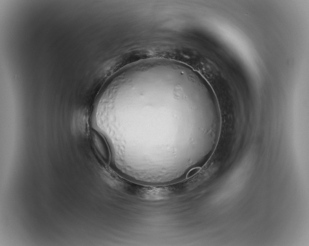 X0000115620527200911171318