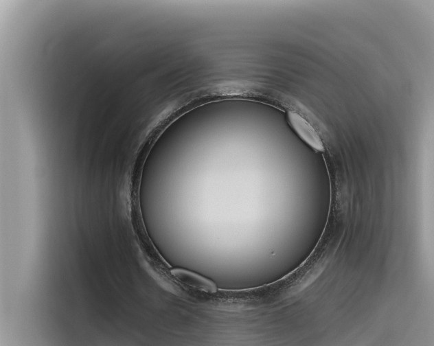 X0000115620530200911171318