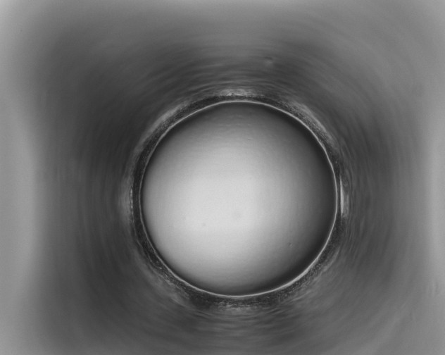 X0000115620531200911171318