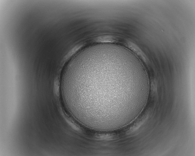 X0000115620533200911171318