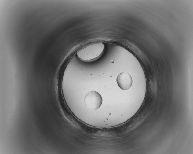 X0000115620534200911171318