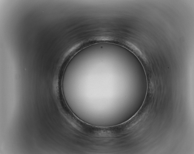 X0000115620535200911171318