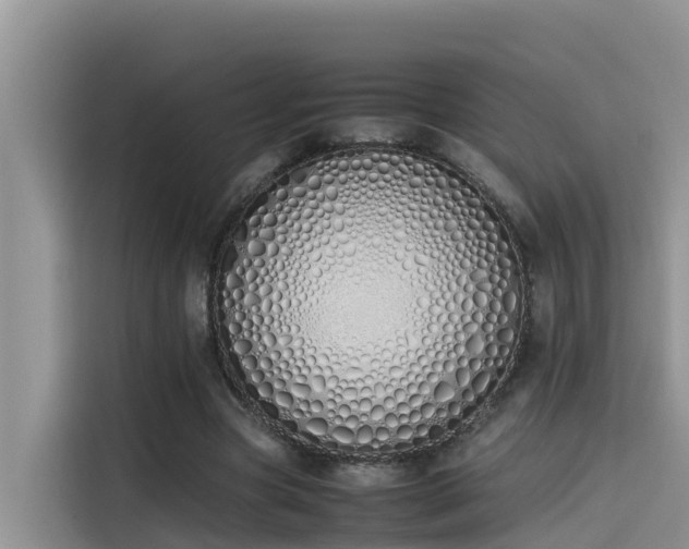 X0000115620537200911171318