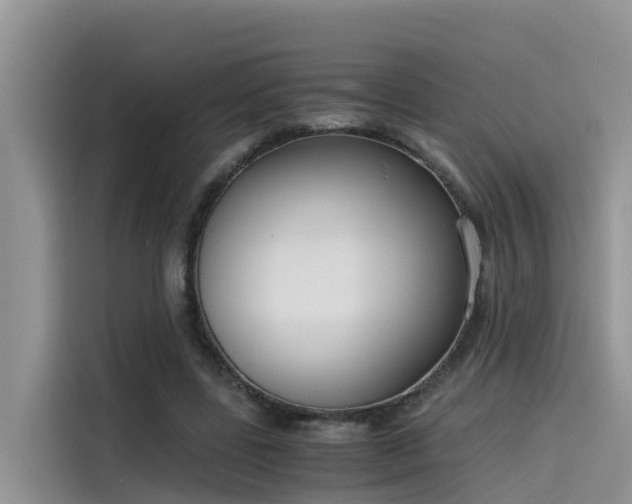 X0000115620539200911171318