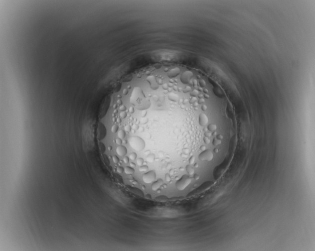 X0000115620545200911171318