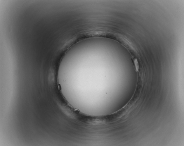 X0000115620546200911171318