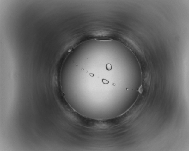 X0000115620547200911171318