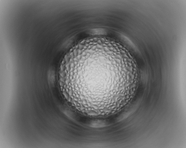 X0000115620549200911171318