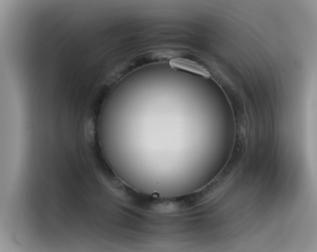 X0000115620551200911171318