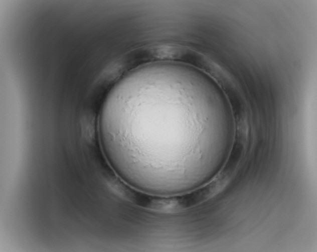 X0000115620554200911171318