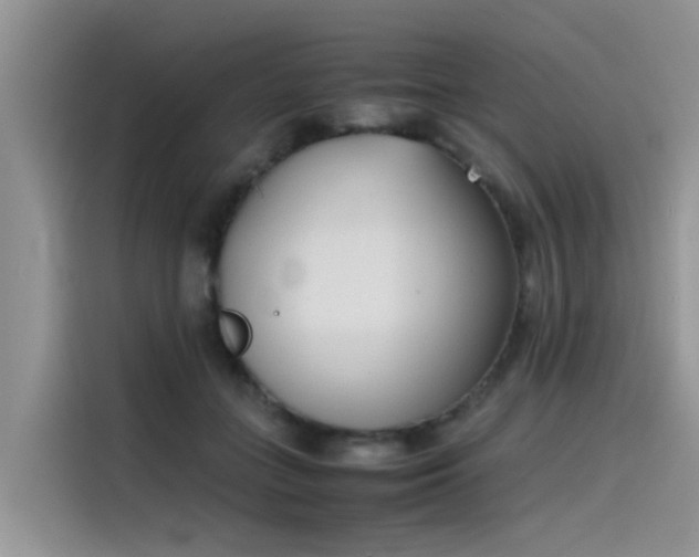 X0000115620555200911171318