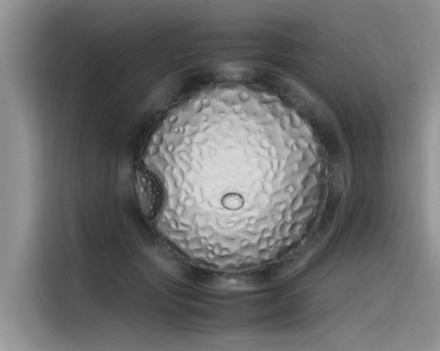 X0000115620557200911171318