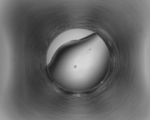 X0000115620558200911171318