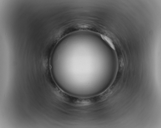 X0000115620559200911171318