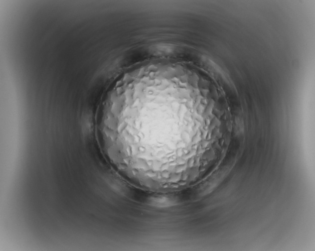 X0000115620561200911171318