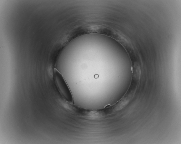 X0000115620562200911171318