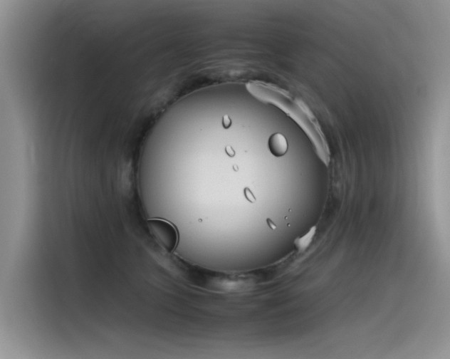 X0000115620563200911171318