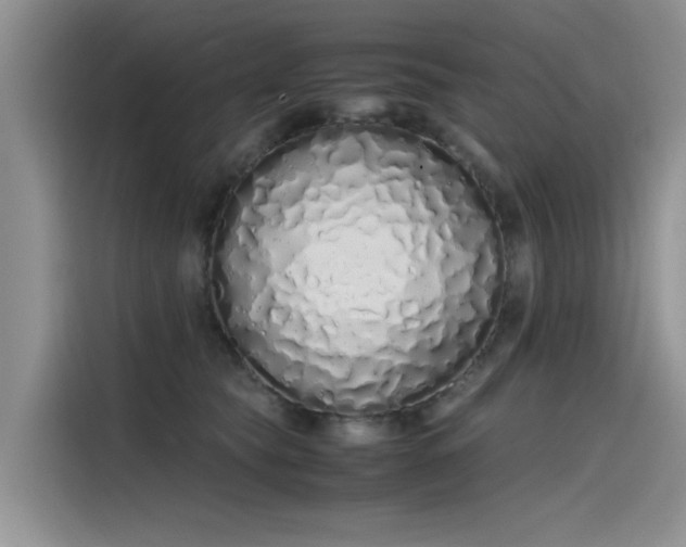 X0000115620565200911171318