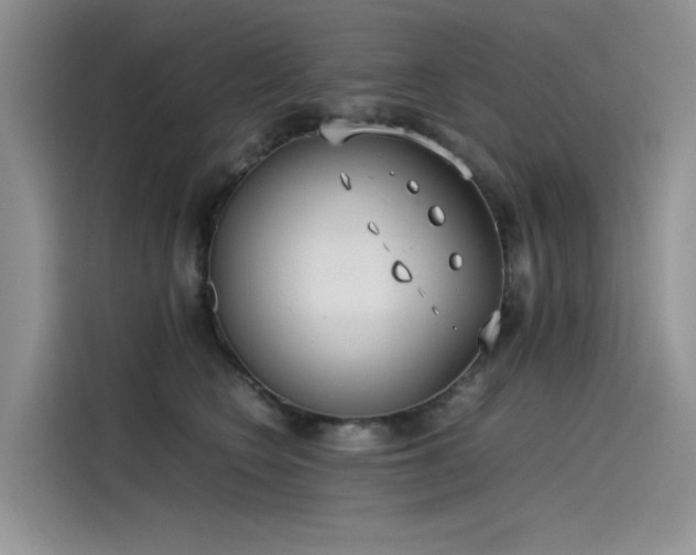 X0000115620566200911171318