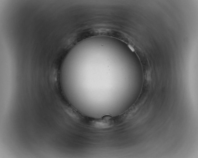 X0000115620567200911171318