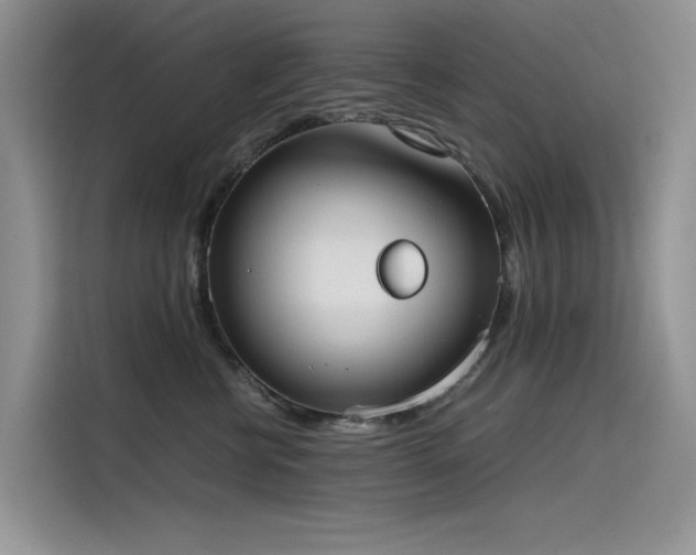 X0000115620570200911171318