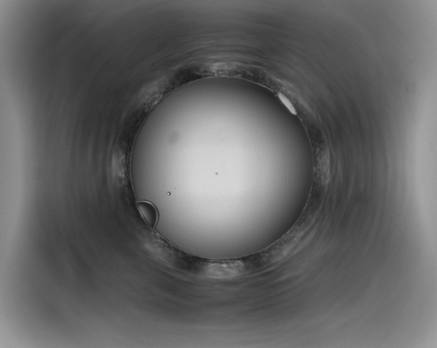 X0000115620571200911171318