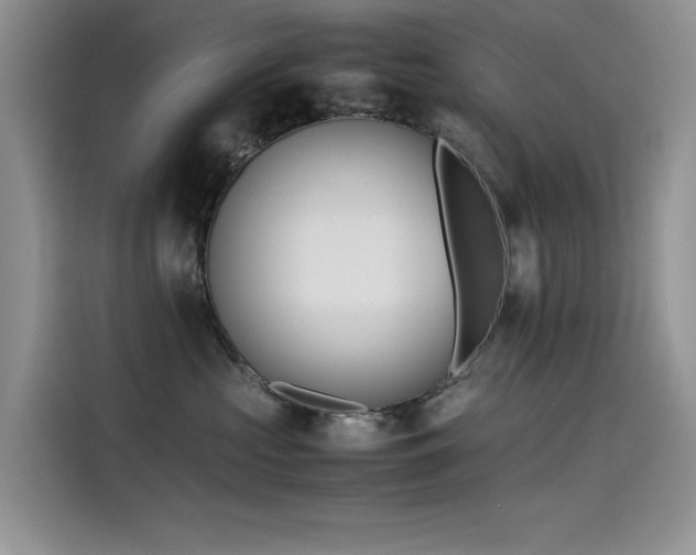 X0000115620573200911171318