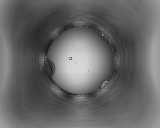 X0000115620574200911171318