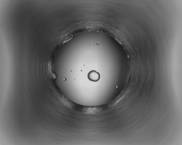 X0000115620575200911171318