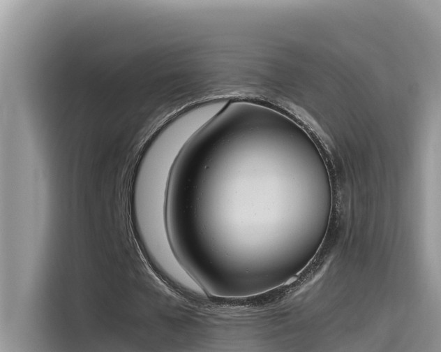 X0000115620577200911171317