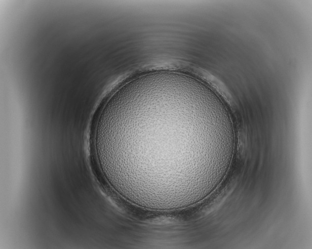 X0000115620578200911171317